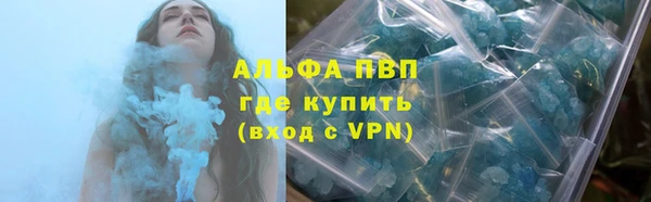 прущая мука Пересвет